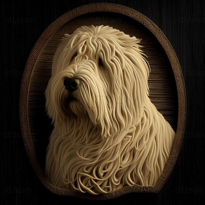 Komondor dog